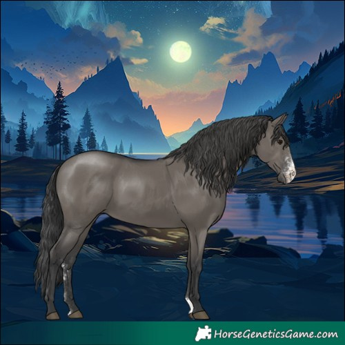 Horse Color:Grullo Sabino Rabicano 