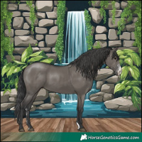 Horse Color:Grullo Sabino Rabicano 