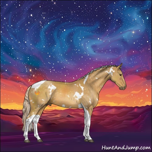 Horse Color:White Spotted Palomino Tobiano 