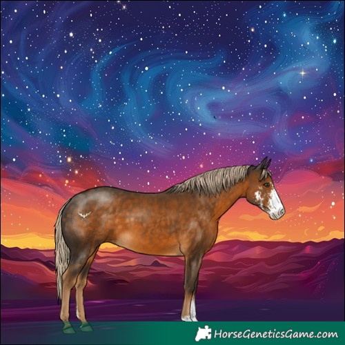 Horse Color:Chocolate Palomino Sabino 