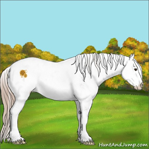 Horse Color:Liver Chestnut Ice Sabino Appaloosa 