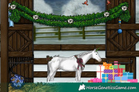 Horse Color:Brown Dun Sabino