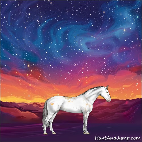 Horse Color:Buckskin Dun Sabino 