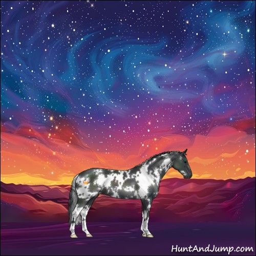 Horse Color:White Spotted Black