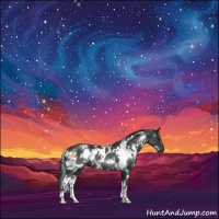Horse Color:White Spotted Black