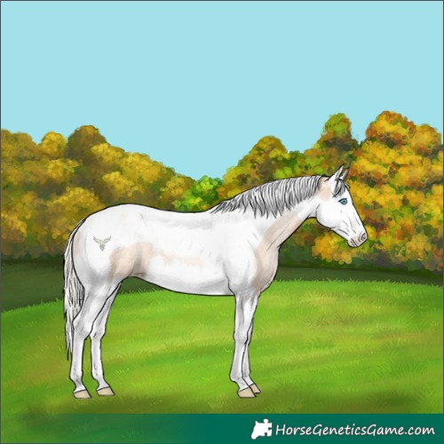 Horse Color:Gold Cream Champagne Pearl Splash Tobiano Rabicano 