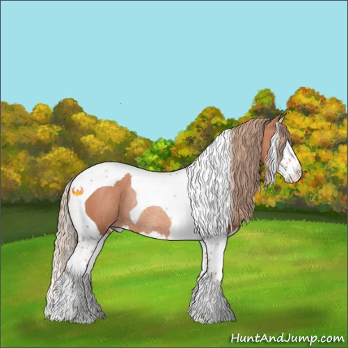 Horse Color:Gold Champagne Splash Tobiano Rabicano 