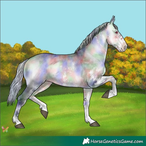 Horse Color:Nacre White Spotted Silver Brown Chinchilla Onyx 