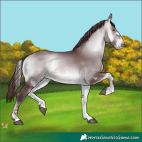 Horse Color:White Spotted Chocolate Brown Chinchilla Onyx 