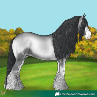 Horse Color:White Spotted Blue Onyx Chinchilla 