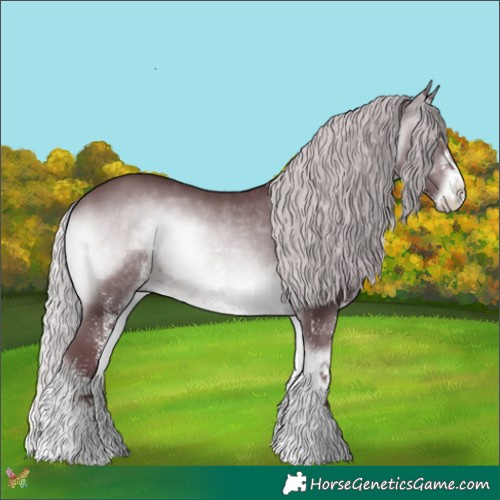 Horse Color:White Spotted Chocolate Silver Brown Chinchilla Onyx