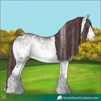 Horse Color:White Spotted Chocolate Bay Chinchilla Onyx 