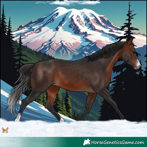 Horse Color:Bay Sabino Rabicano 