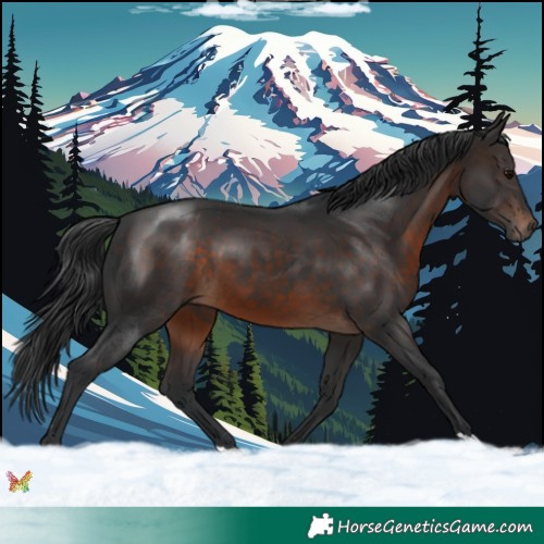 Horse Color:Brown 