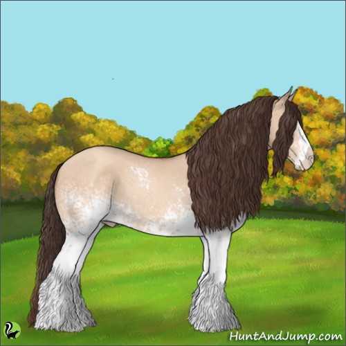 Horse Color:White Spotted Sable Champagne Dun 