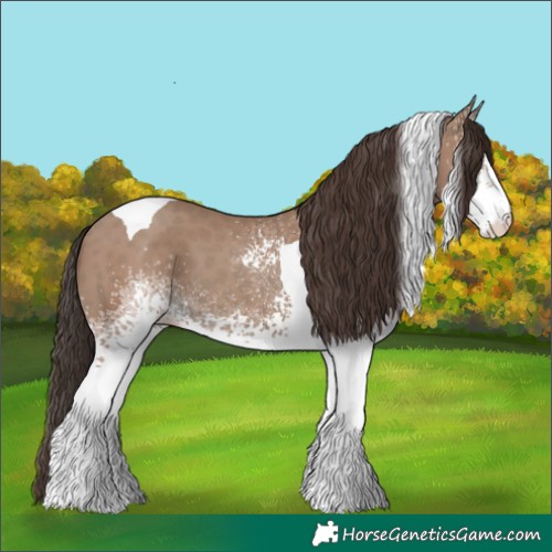 Horse Color:White Spotted Classic Champagne Tobiano 