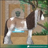 Horse Color:White Spotted Classic Champagne Tobiano 