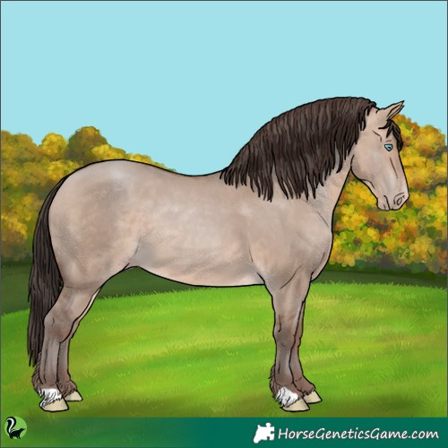 Horse Color:Sable Champagne Dun 