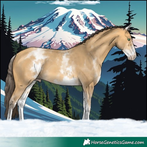 Horse Color:White Spotted Amber Cream Champagne 