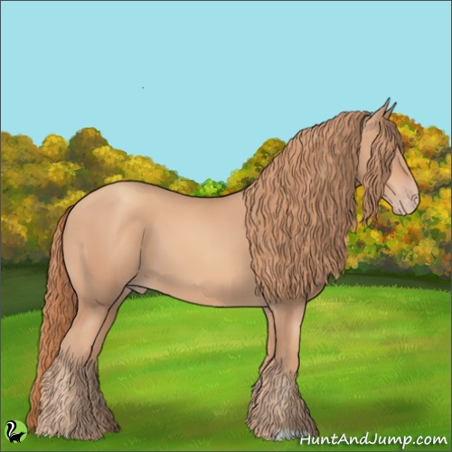 Horse Color:Gold Champagne 
