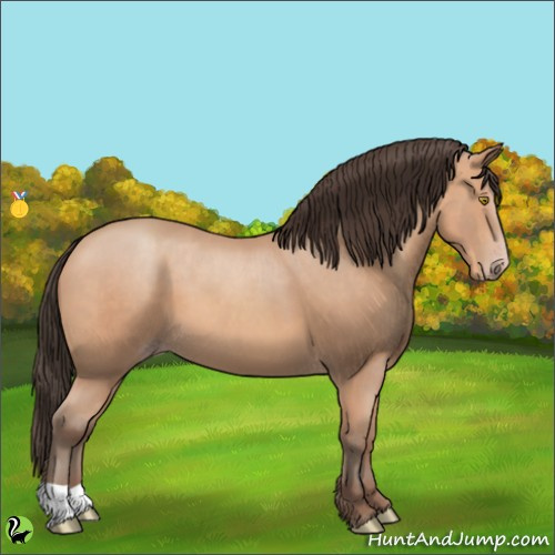 Horse Color:Amber Champagne 