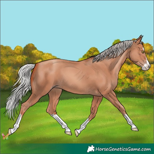 Horse Color:Silver Sable Champagne Splash 