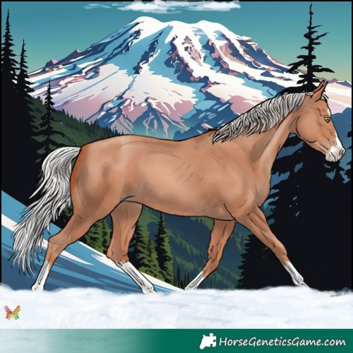Horse Color:Silver Sable Champagne Splash 