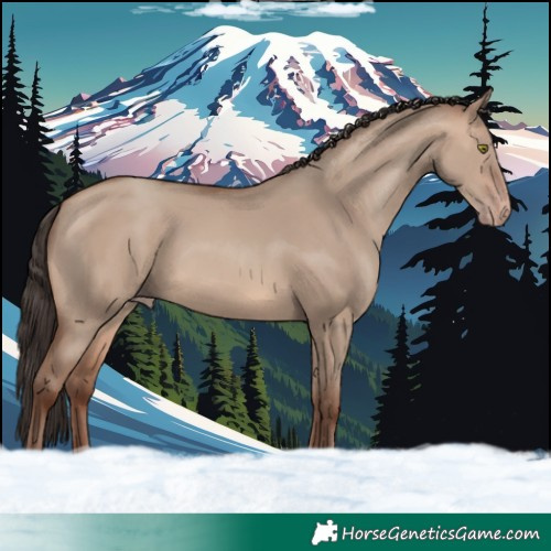 Horse Color:Sable Champagne Dun 