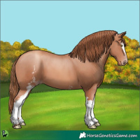 Horse Color:White Spotted Gold Champagne 