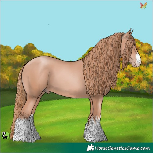 Horse Color:White Spotted Gold Champagne 