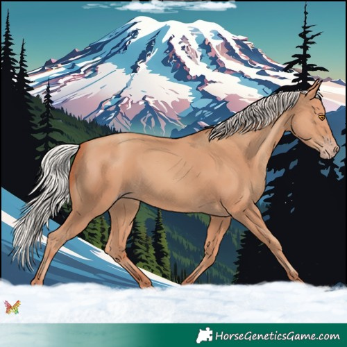 Horse Color:Silver Classic Champagne 