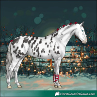 Horse Color:Liver Chestnut Mushroom Sabino Splash Appaloosa