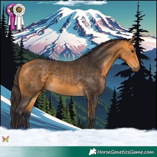 Horse Color:Buckskin 