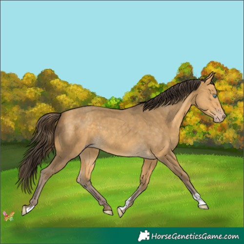 Horse Color:Amber Cream Champagne 