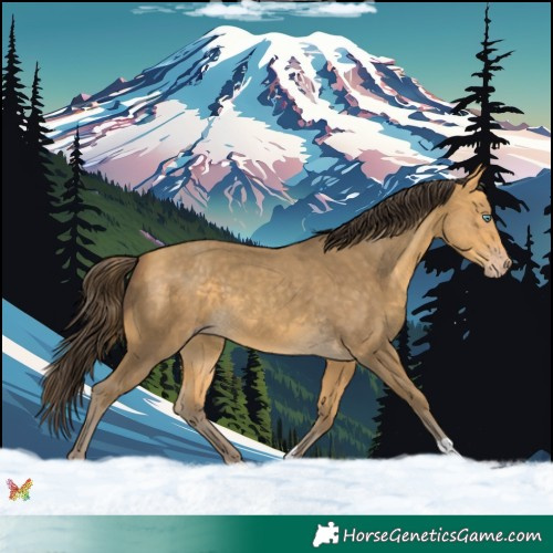 Horse Color:Amber Cream Champagne 