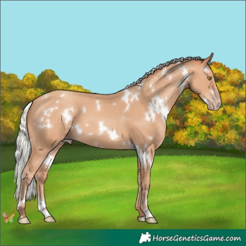 Horse Color:White Spotted Silver Amber Champagne 