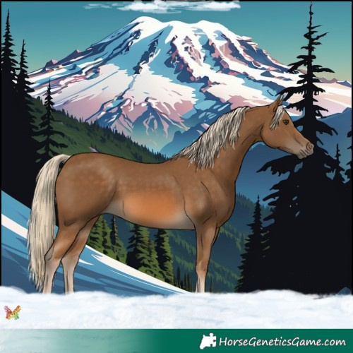 Horse Color:Chocolate Palomino 