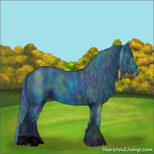 Horse Color:ERROR: UNKNOWN ANOMALY