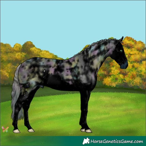 Horse Color:ERROR: UNKNOWN ANOMALY