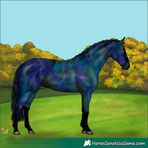 Horse Color:ERROR: UNKNOWN ANOMALY