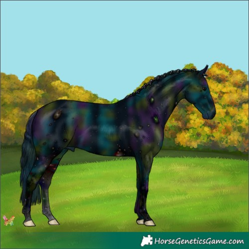 Horse Color:ERROR: UNKNOWN ANOMALY