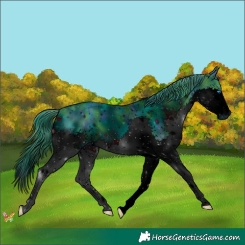Horse Color:ERROR: UNKNOWN ANOMALY