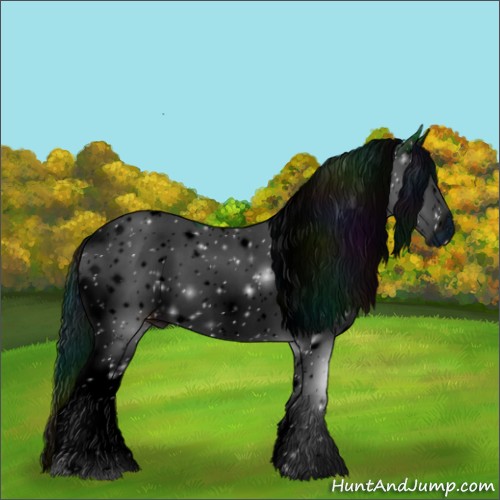 Horse Color:ERROR: UNKNOWN ANOMALY