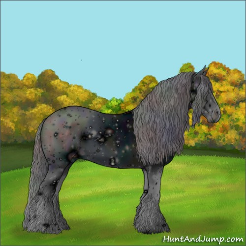 Horse Color:ERROR: UNKNOWN ANOMALY