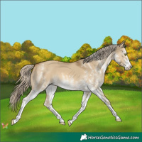 Horse Color:White Spotted Chocolate Palomino Dun Mushroom