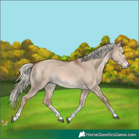 Horse Color:White Spotted Red Dun Mushroom 