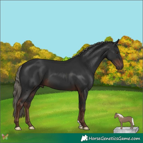 Horse Color:Liver Chestnut Mushroom 