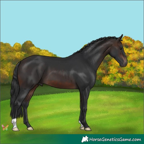 Horse Color:Brown Mushroom 