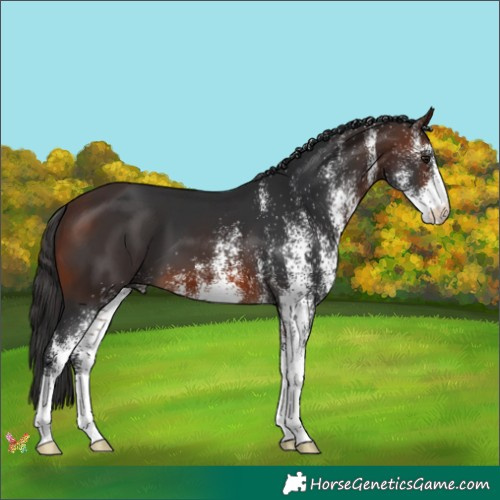 Horse Color:White Spotted Brown Mushroom 
