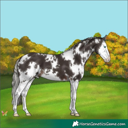 Horse Color:White Spotted Liver Chestnut Mushroom Splash 